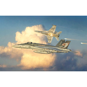 Italeri 2791 F/A-18 E SUPER HORNET 1/48 Scale Model