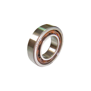 Force B003 .21 Ball bearing 6901, 24x13x6mm