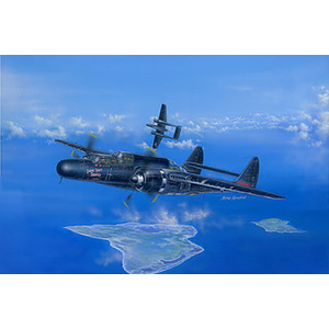 P-61B Black Widow -- Plastic Model Airplane Kit -- 1/48 Scale --  81731